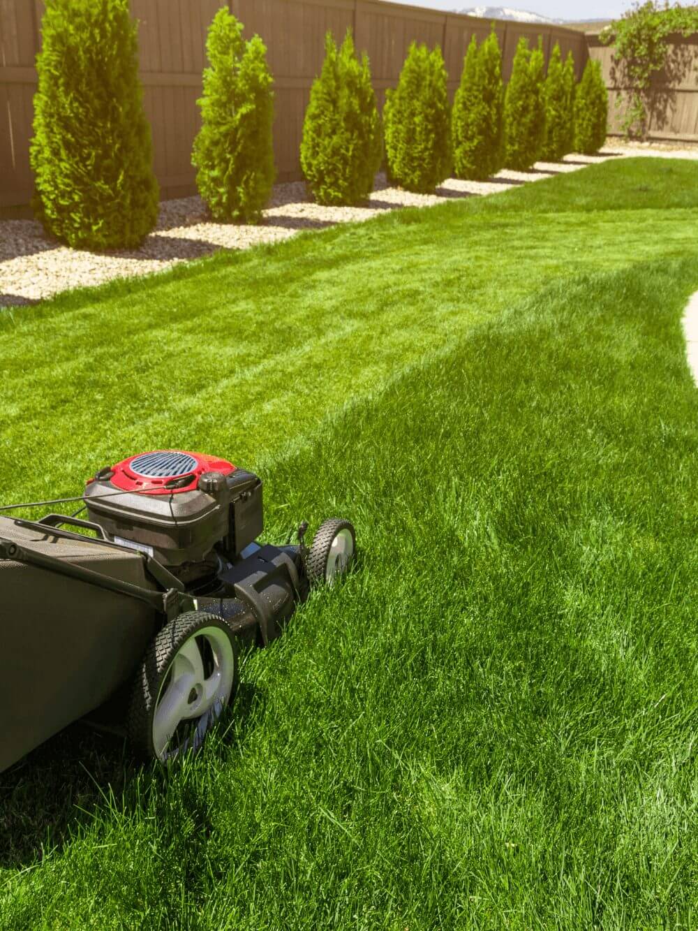 Lawn Maintenance